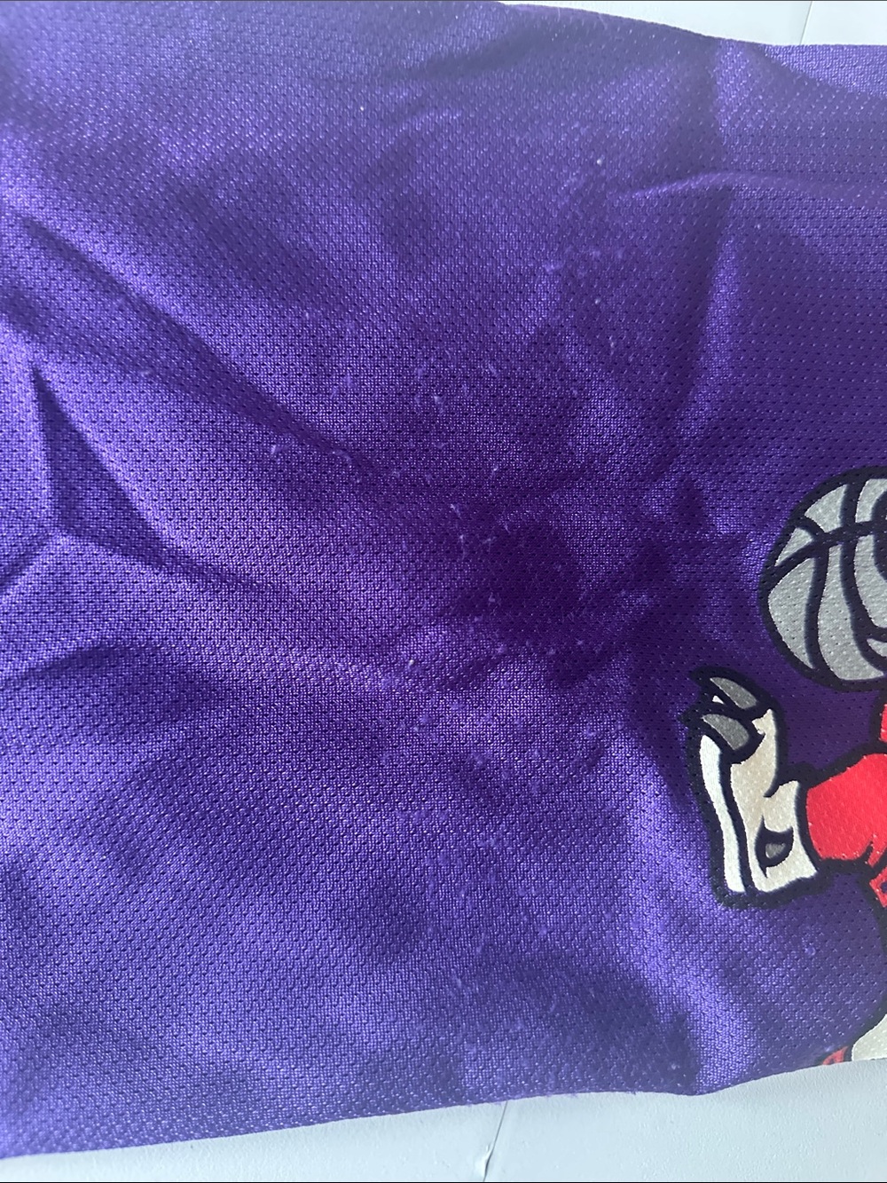 Z—Champion Purple Mesh Basketball Jersey with Red Accent - Picture 12 of 16